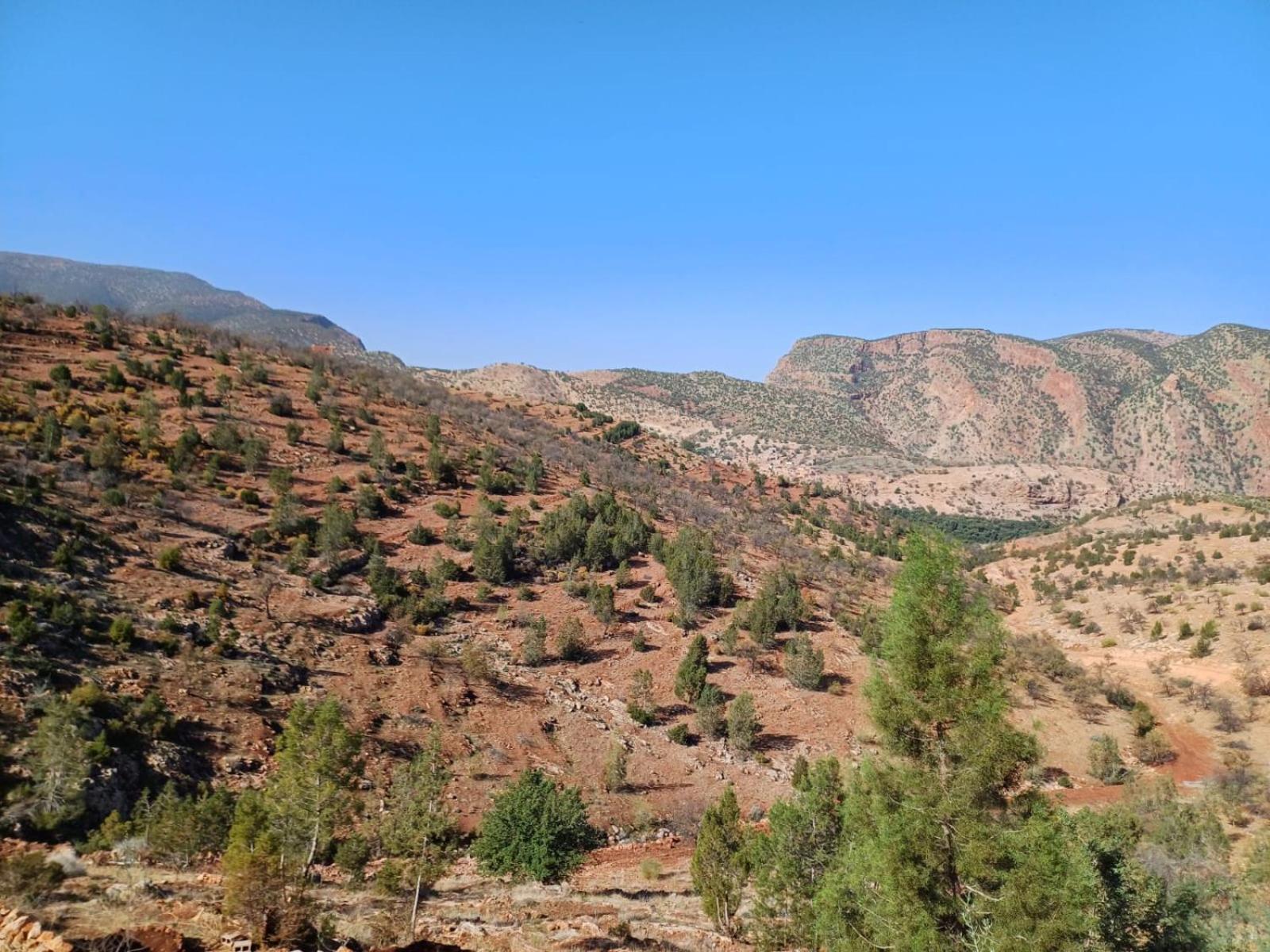 אוזוד Riad Heermans מראה חיצוני תמונה