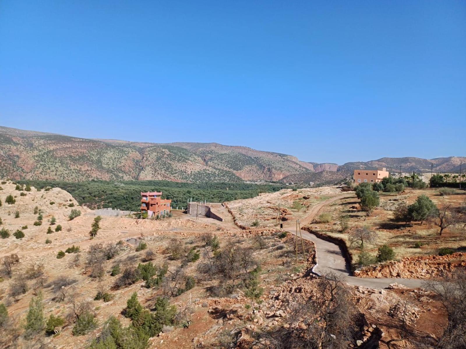 אוזוד Riad Heermans מראה חיצוני תמונה